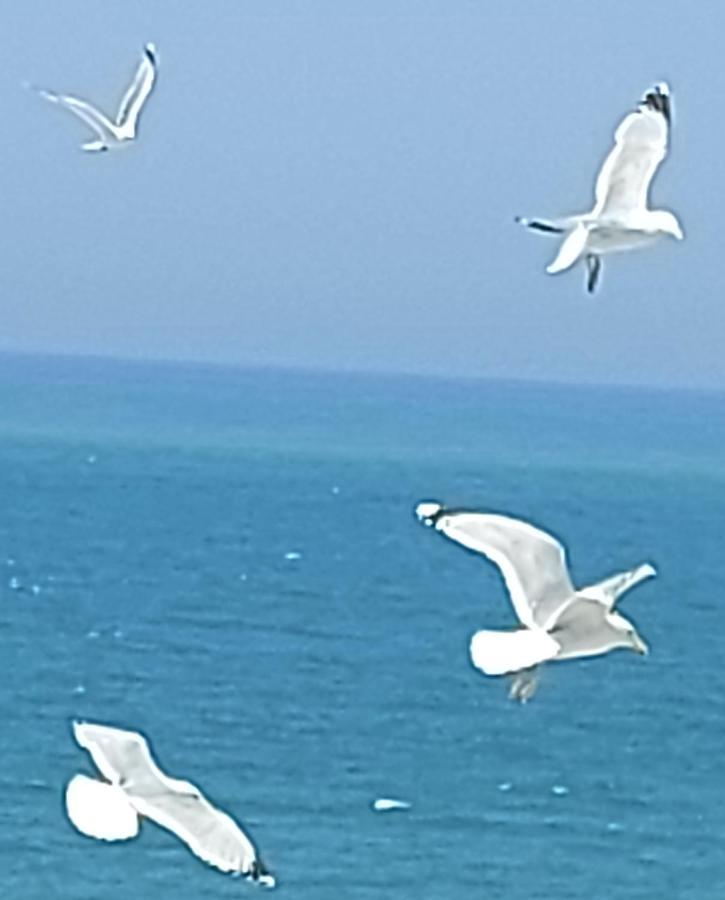 Le Paradis Bleu Bosville Dış mekan fotoğraf