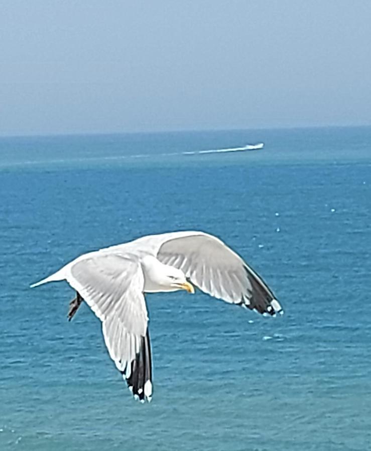 Le Paradis Bleu Bosville Dış mekan fotoğraf